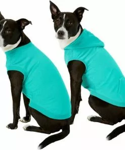 Frisco Basic T-Shirt, Teal + Dog & Cat Hoodie, Teal 13 Frisco Basic T-Shirt, Teal + Dog & Cat Hoodie, Teal -The Frisco Store 302676 PT2. SY630 V1633127879