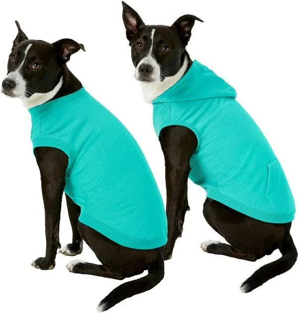 Frisco Basic T-Shirt, Teal + Dog & Cat Hoodie, Teal 5 Frisco Basic T-Shirt, Teal + Dog & Cat Hoodie, Teal - Image 3