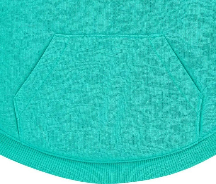 Frisco Basic T-Shirt, Teal + Dog & Cat Hoodie, Teal 6 Frisco Basic T-Shirt, Teal + Dog & Cat Hoodie, Teal - Image 4
