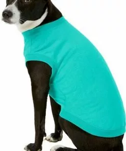 Frisco Basic T-Shirt, Teal + Dog & Cat Hoodie, Teal 15 Frisco Basic T-Shirt, Teal + Dog & Cat Hoodie, Teal -The Frisco Store 302676 PT4. SY630 V1633123589
