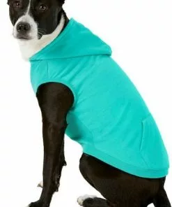 Frisco Basic T-Shirt, Teal + Dog & Cat Hoodie, Teal 16 Frisco Basic T-Shirt, Teal + Dog & Cat Hoodie, Teal -The Frisco Store 302676 PT5. SY630 V1633126626