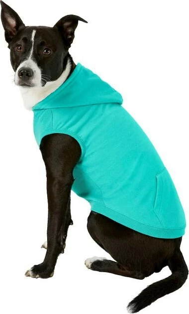Frisco Basic T-Shirt, Teal + Dog & Cat Hoodie, Teal 8 Frisco Basic T-Shirt, Teal + Dog & Cat Hoodie, Teal - Image 6