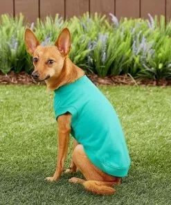 Frisco Basic T-Shirt, Teal + Dog & Cat Hoodie, Teal 17 Frisco Basic T-Shirt, Teal + Dog & Cat Hoodie, Teal -The Frisco Store 302676 PT6. SY630 V1633127770