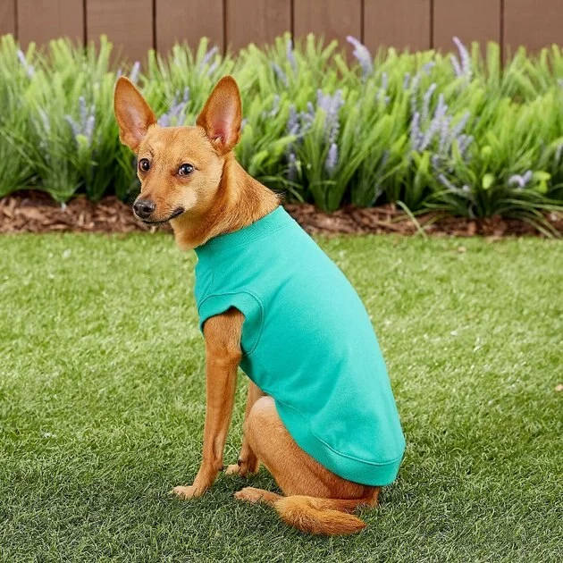 Frisco Basic T-Shirt, Teal + Dog & Cat Hoodie, Teal 9 Frisco Basic T-Shirt, Teal + Dog & Cat Hoodie, Teal - Image 7