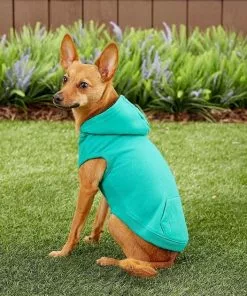 Frisco Basic T-Shirt, Teal + Dog & Cat Hoodie, Teal 18 Frisco Basic T-Shirt, Teal + Dog & Cat Hoodie, Teal -The Frisco Store 302676 PT7. SY630 V1633123351
