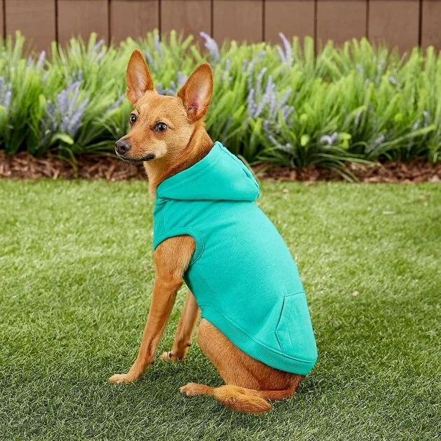 Frisco Basic T-Shirt, Teal + Dog & Cat Hoodie, Teal 10 Frisco Basic T-Shirt, Teal + Dog & Cat Hoodie, Teal - Image 8