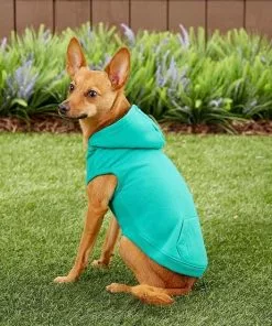 Frisco Basic T-Shirt, Teal + Dog & Cat Hoodie, Teal 19 Frisco Basic T-Shirt, Teal + Dog & Cat Hoodie, Teal -The Frisco Store 302676 PT8. SY630 V1623057743