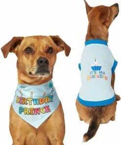 Frisco Birthday Prince Bandana, Medium/Large + Dog & Cat T-Shirt, Blue -The Frisco Store 302690 PT2. SY630 V1633059989