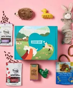 Frisco||Goody Box Frisco Fold & Carry Double Door Collapsible Wire Crate + Goody Box Puppy Toys, Treats & Potty Training -The Frisco Store 302728 PT6. SY630 V1658256255