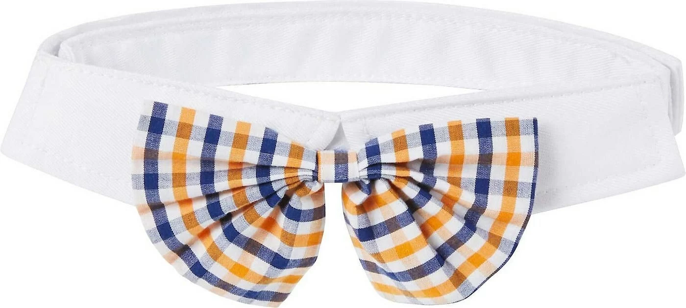 Frisco Plaid Dog & Cat Bow Tie, Orange & Blue + Blue 5 Frisco Plaid Dog & Cat Bow Tie, Orange & Blue + Blue - Image 3