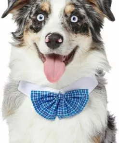 Frisco Plaid Dog & Cat Bow Tie, Orange & Blue + Blue 14 Frisco Plaid Dog & Cat Bow Tie, Orange & Blue + Blue -The Frisco Store 302770 PT4. SY630 V1623039753