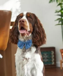 Frisco Plaid Dog & Cat Bow Tie, Orange & Blue + Blue 16 Frisco Plaid Dog & Cat Bow Tie, Orange & Blue + Blue -The Frisco Store 302770 PT6. SY630 V1623067356