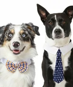 Frisco Plaid Dog & Cat Bow Tie, Orange & Blue + Polka Dot, Navy