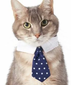 Frisco Plaid Dog & Cat Bow Tie, Orange & Blue + Polka Dot, Navy 16 Frisco Plaid Dog & Cat Bow Tie, Orange & Blue + Polka Dot, Navy -The Frisco Store 302784 PT5. SY630 V1623037952