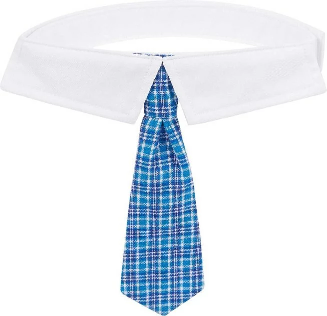 Frisco Plaid Dog & Cat Neck Tie, Blue Plaid + Polka Dot, Teal 6 Frisco Plaid Dog & Cat Neck Tie, Blue Plaid + Polka Dot, Teal - Image 4