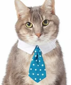 Frisco Plaid Dog & Cat Neck Tie, Blue Plaid + Polka Dot, Teal 16 Frisco Plaid Dog & Cat Neck Tie, Blue Plaid + Polka Dot, Teal -The Frisco Store 302794 PT5. SY630 V1623084751