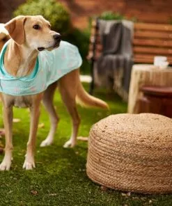 Frisco Rainy Days + Rubber Ducky Dog Raincoat -The Frisco Store 302838 PT7. SY630 V1623090458