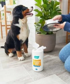 Catit||Frisco Catit Flower Plastic Fountain, 100-oz + Frisco Pet Toy & Bowl Cleaning Wipes -The Frisco Store 303288 PT7. SY630 V1623047247