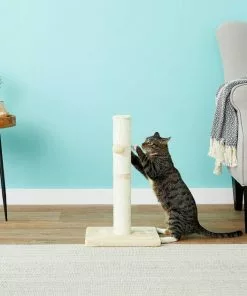 Frisco 21-in Sisal Scratching Post with Toy, Cream + Felt Removable Hood Cave Cat & Dog Covered Bed, Brown -The Frisco Store 303320 PT3. SY630 V1623051757