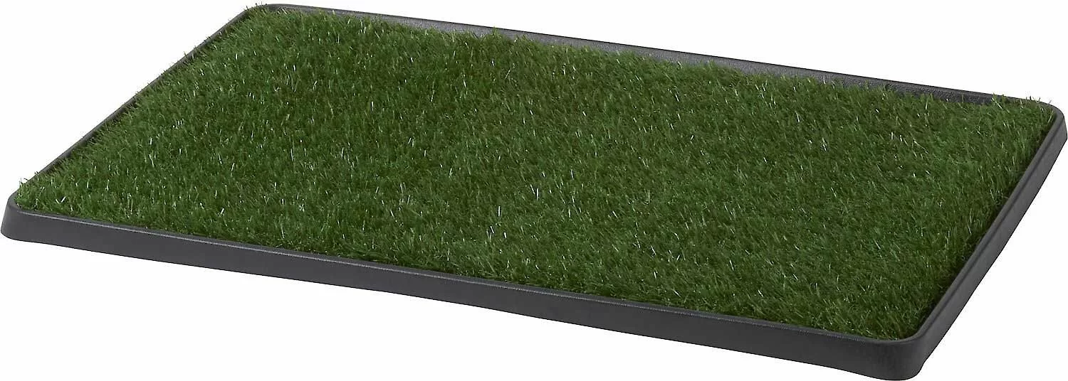 Frisco||PetSafe Frisco Indoor Grass Potty, 30 x 20 in + PetSafe Pet Loo Wee Care Enzyme Cleaner 4 Frisco||PetSafe Frisco Indoor Grass Potty, 30 x 20 in + PetSafe Pet Loo Wee Care Enzyme Cleaner - Image 2