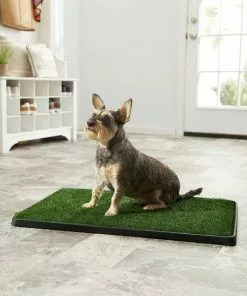 Frisco||PetSafe Frisco Indoor Grass Potty, 30 x 20 in + PetSafe Pet Loo Wee Care Enzyme Cleaner 10 Frisco||PetSafe Frisco Indoor Grass Potty, 30 x 20 in + PetSafe Pet Loo Wee Care Enzyme Cleaner -The Frisco Store 303462 PT3. SY630 V1623049351