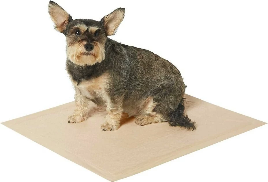 Frisco Refill Poop Bags, Scented, 120 count + Eco-Conscious Dog Training & Potty Pads, 22 x 23-in, 50 count, Unscented 8 Frisco Refill Poop Bags, Scented, 120 count + Eco-Conscious Dog Training & Potty Pads, 22 x 23-in, 50 count, Unscented - Image 6