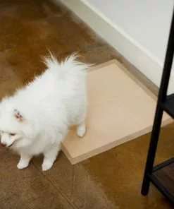 Frisco Refill Poop Bags, Scented, 120 count + Eco-Conscious Dog Training & Potty Pads, 22 x 23-in, 50 count, Unscented 19 Frisco Refill Poop Bags, Scented, 120 count + Eco-Conscious Dog Training & Potty Pads, 22 x 23-in, 50 count, Unscented -The Frisco Store 303542 PT8. SY630 V1623080862