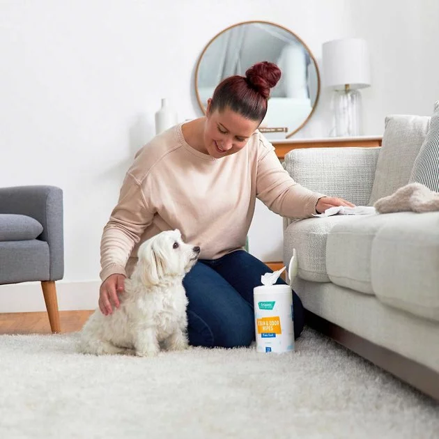 Frisco||Pet Odor Exterminator Frisco Stain & Odor Remover Wipes, 70 count + Pet Odor Exterminator Lavender & Chamomile Deodorizing Candle 6 Frisco||Pet Odor Exterminator Frisco Stain & Odor Remover Wipes, 70 count + Pet Odor Exterminator Lavender & Chamomile Deodorizing Candle - Image 4