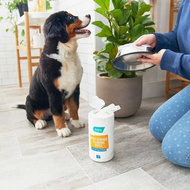 Frisco Stainless Steel Bowl, 4.75-cup, 2 count + Pet Toy & Bowl Cleaning Wipes 9 Frisco Stainless Steel Bowl, 4.75-cup, 2 count + Pet Toy & Bowl Cleaning Wipes - Image 7