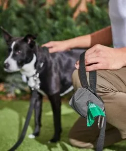 Ubbi||Frisco Ubbi On-The-Go Wipes Dispenser + Frisco Dog Poop Bags with Fabric Dispenser, 30 count, Gray -The Frisco Store 303764 PT8. SY630 V1623057451