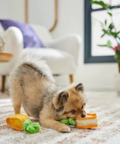 Frisco Easter Carrot Plush Squeaky Dog Toy, 2 pack -The Frisco Store 306954 PT3. SY630 V1642441051