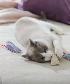 Frisco Easter Party Hat Kickers Cat Toy with Catnip, 3 count -The Frisco Store 306960 PT3. SY630 V1642440777