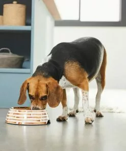 Frisco Copper Print Design Stainless Steel Dog & Cat Bowl 12 Frisco Copper Print Design Stainless Steel Dog & Cat Bowl -The Frisco Store 311975 PT2. SY630 V1642542895