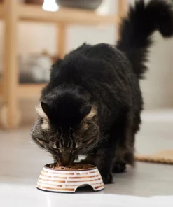 Frisco Copper Print Design Stainless Steel Dog & Cat Bowl 13 Frisco Copper Print Design Stainless Steel Dog & Cat Bowl -The Frisco Store 311975 PT3. SY630 V1642542357