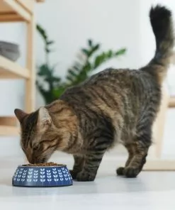 Frisco Leaf Design Stainless Steel Dog & Cat Bowl, Blue -The Frisco Store 311979 PT3. SY630 V1642542946