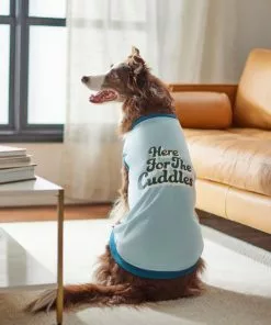 Frisco Here For The Cuddles Dog & Cat T-Shirt -The Frisco Store 312024 PT8. SY630 V1644448378