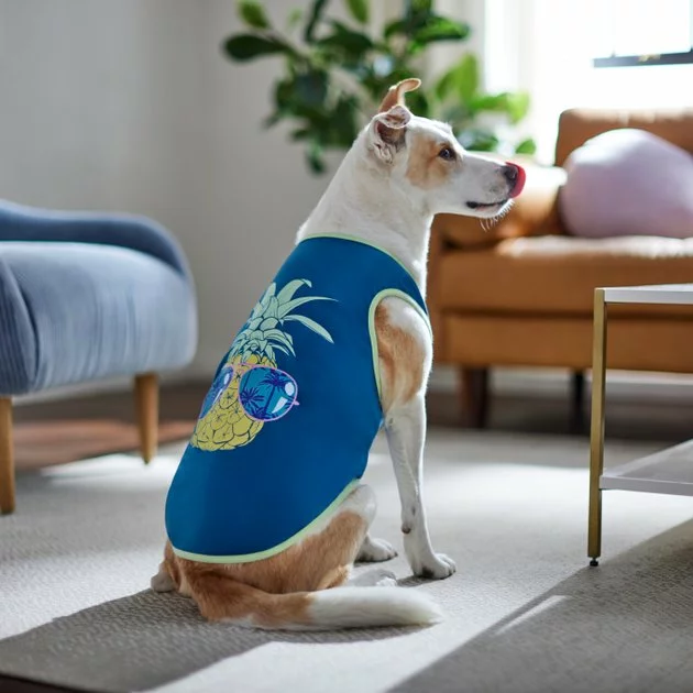 Frisco Pineapple Guy Dog & Cat T-Shirt 8 Frisco Pineapple Guy Dog & Cat T-Shirt - Image 6