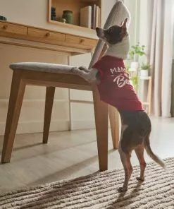 Frisco Mama's Bestie Dog & Cat T-Shirt 13 Frisco Mama's Bestie Dog & Cat T-Shirt -The Frisco Store 312056 PT8. SY630 V1644425515