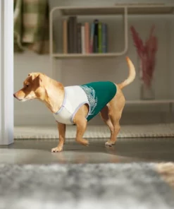 Frisco Tropical Palm Dog & Cat T-Shirt -The Frisco Store 312072 PT8. SY630 V1644425897