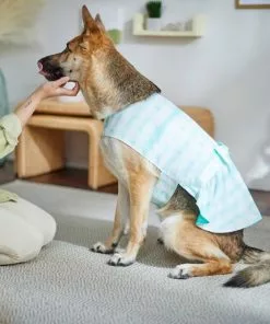 Frisco Green Tie Dye Dog & Cat Dress 13 Frisco Green Tie Dye Dog & Cat Dress -The Frisco Store 312104 PT8. SY630 V1644424641