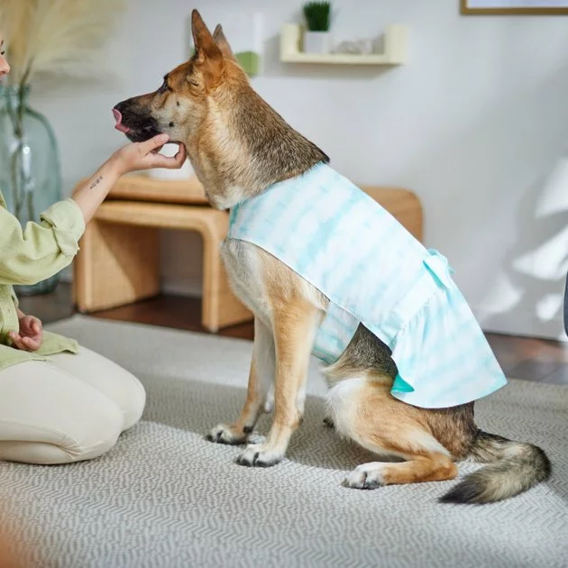 Frisco Green Tie Dye Dog & Cat Dress 8 Frisco Green Tie Dye Dog & Cat Dress - Image 6