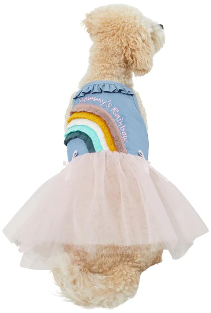 Frisco Rainbow Denim Dog & Cat Dress 3 Frisco Rainbow Denim Dog & Cat Dress