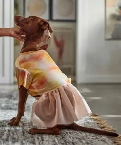 Frisco Tie Dye Pink Tutu Dog & Cat Dress 13 Frisco Tie Dye Pink Tutu Dog & Cat Dress -The Frisco Store 312152 PT8. SY630 V1644528801