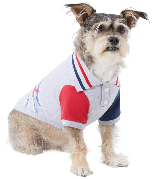 Frisco Nautical Polo Dog & Cat Shirt 3 Frisco Nautical Polo Dog & Cat Shirt