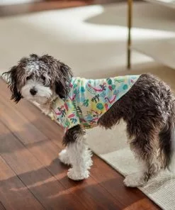 Frisco Flamingo Camp Dog & Cat Shirt -The Frisco Store 312176 PT8. SY630 V1644527708