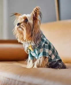 Frisco Boho Plaid Dog & Cat Shirt -The Frisco Store 312184 PT8. SY630 V1644524330