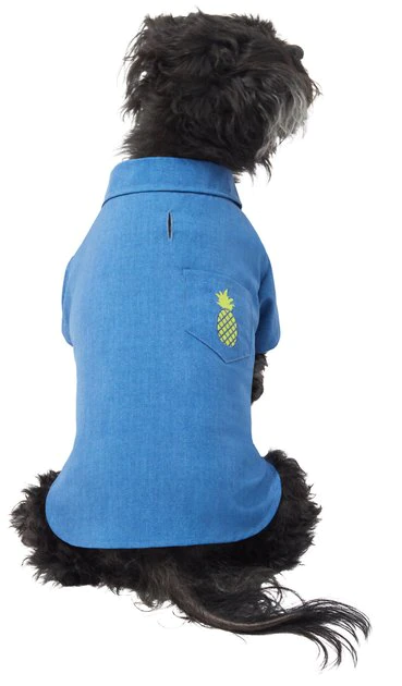 Frisco Chambray Pineapple Dog & Cat Shirt 3 Frisco Chambray Pineapple Dog & Cat Shirt