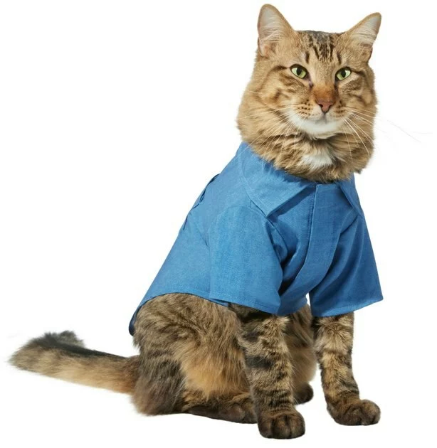 Frisco Chambray Pineapple Dog & Cat Shirt 5 Frisco Chambray Pineapple Dog & Cat Shirt - Image 3