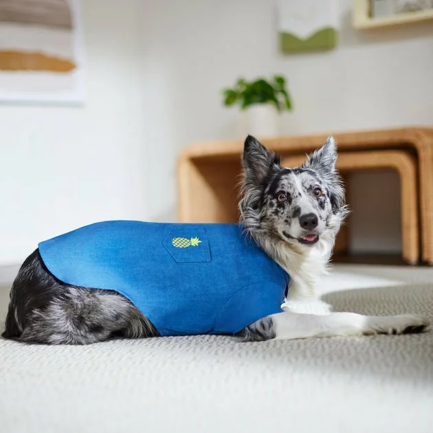 Frisco Chambray Pineapple Dog & Cat Shirt 11 Frisco Chambray Pineapple Dog & Cat Shirt - Image 9