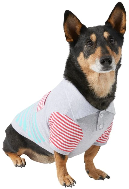 Frisco Striped Polo Dog & Cat Shirt 3 Frisco Striped Polo Dog & Cat Shirt